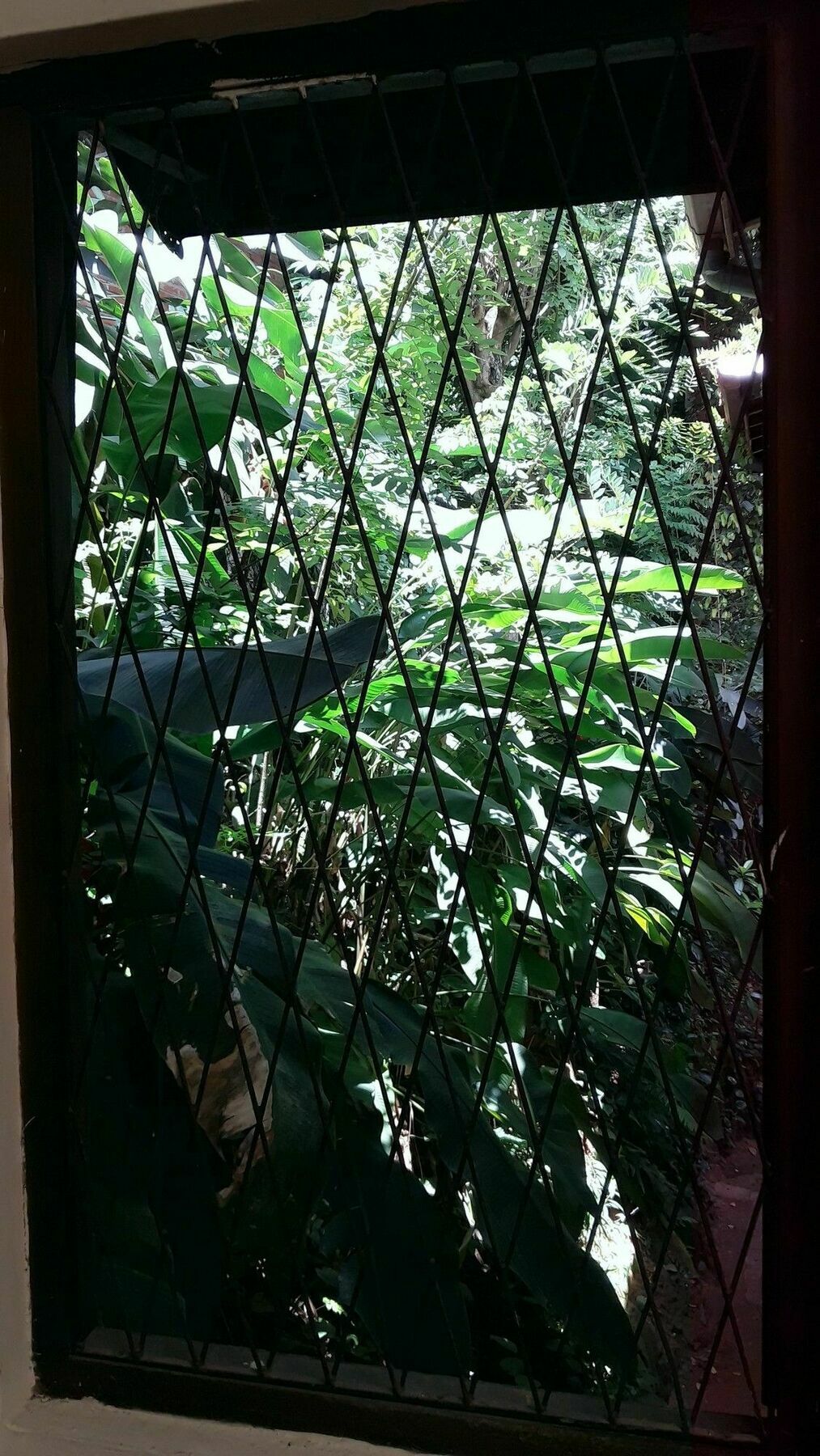 Tree Breeze 3*