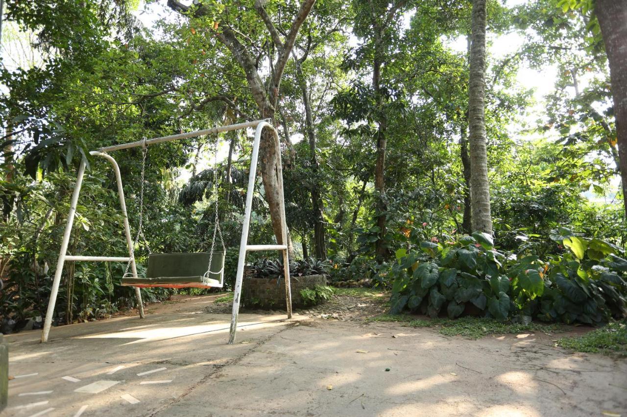 Tree Breeze गेस्ट हाउस