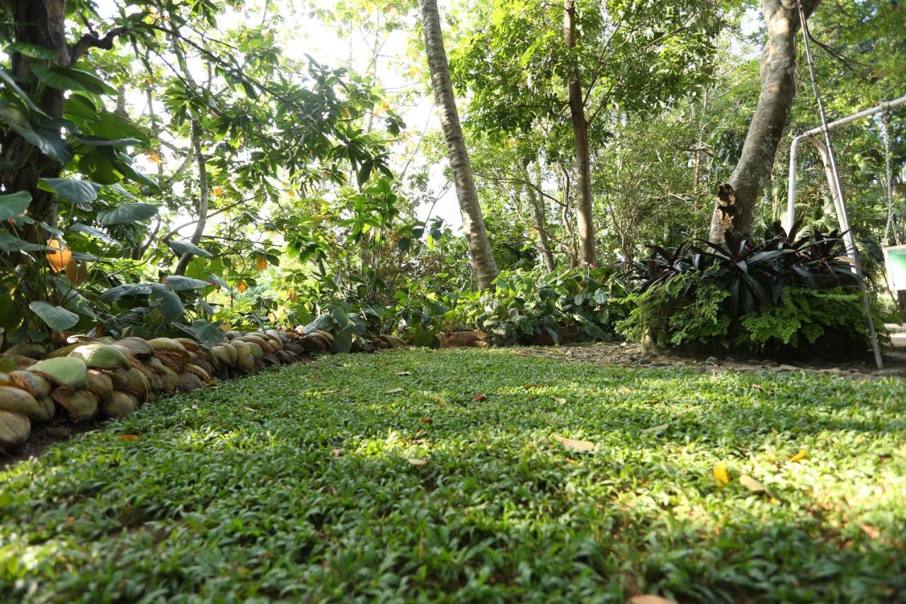 गेस्ट हाउस Tree Breeze Kandy