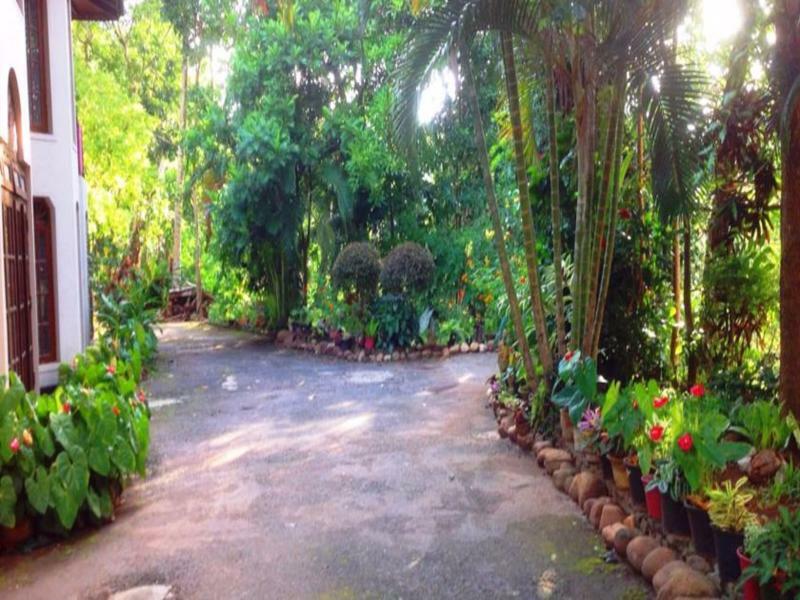 Tree Breeze गेस्ट हाउस 3*