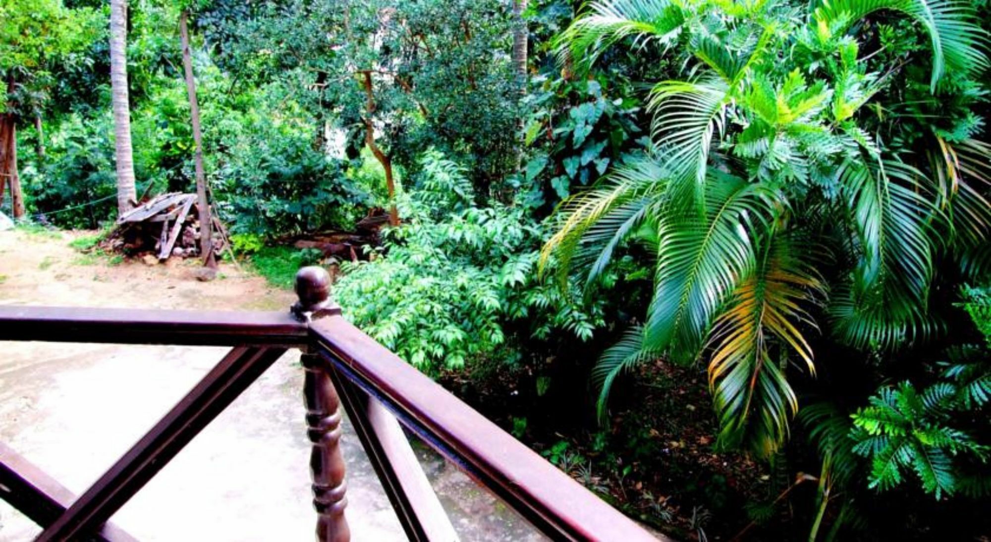 Tree Breeze गेस्ट हाउस Kandy